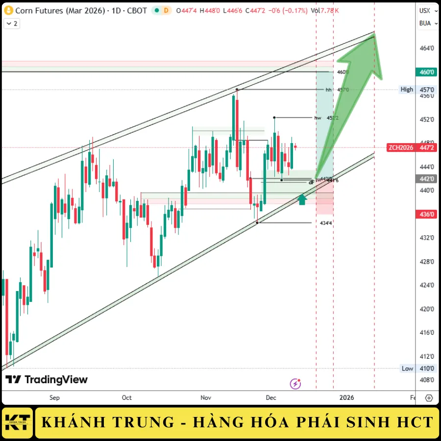 ĐÓN TẾT 2026 CÙNG SẢN PHẨM CHIẾN LƯỢC NGÔ ZCEH26